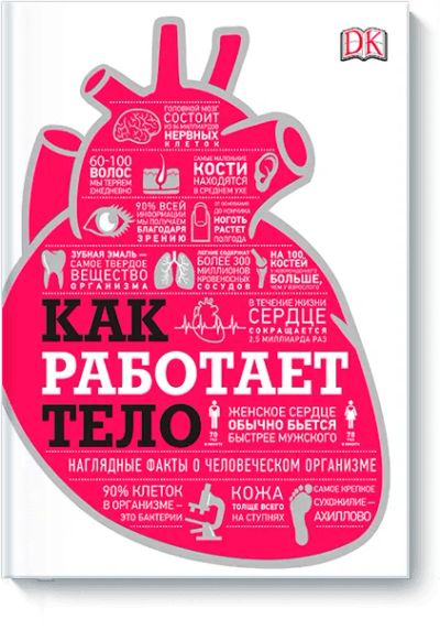 Лот: 24461684. Фото: 1. Как работает тело. Художественная для детей