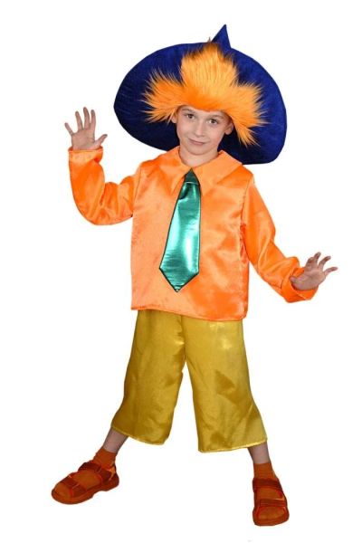 Лот: 10418980. Фото: 1. Детский карнавальный костюм Незнайка. Детские карнавальные, праздничные костюмы