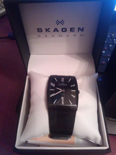 Лот: 6958843. Фото: 1. Часы skagen в хорошем состоянии... Оригинальные наручные часы