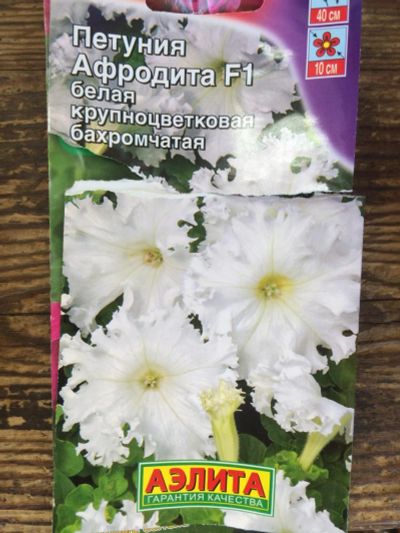Лот: 9456613. Фото: 1. Рассада петунии "Афродита". Садовые цветы
