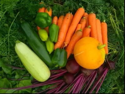 Лот: 17997358. Фото: 1. Требуется морковь,свекла,кабачки... Овощи, фрукты, зелень
