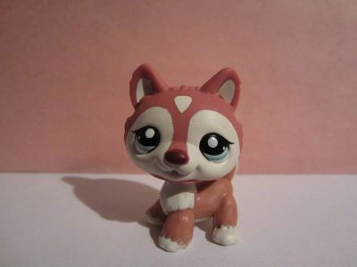 Лот: 7440668. Фото: 1. Littlest Pet Shop Петшоп 1793. Развивающие