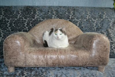 Лот: 8171493. Фото: 1. диванчик. Домики, переноски, клетки, когтеточки