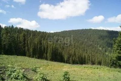 Лот: 25284333. Фото: 1. участок , СНТ Таёжный химико-металлургического... Земельные участки