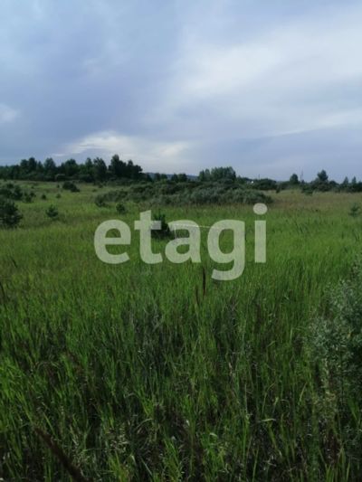 Лот: 25296413. Фото: 1. участок , ДНТ Мальта ДНТ Мальта... Земельные участки