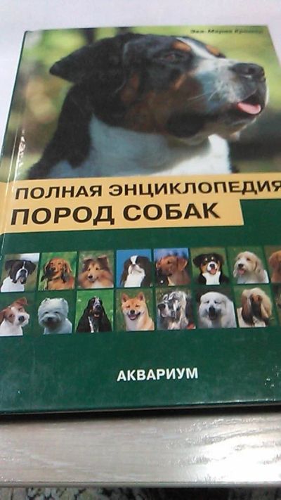 Лот: 9974663. Фото: 1. Отличный подарок. Книга. Полная... Энциклопедии
