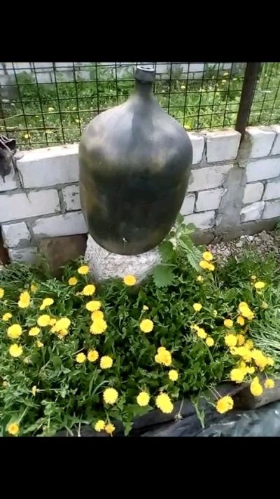 Лот: 11508720. Фото: 1. Бутыль. Кувшины, графины