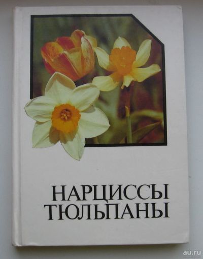 Лот: 15583794. Фото: 1. Нарциссы. Тюльпаны: Альбом-справочник. Сад, огород, цветы
