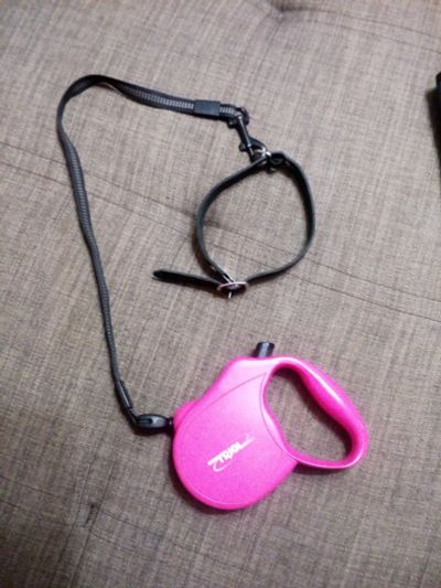 Лот: 15021485. Фото: 1. Поводок. Ошейники, одежда, конное снаряжение