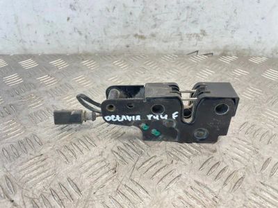 Лот: 25404496. Фото: 1. замок капота Skoda Octavia 1Z3. Кузов