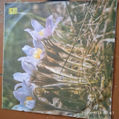 Лот: 20589365. Фото: 1. Грампластинка 41. Аудиозаписи