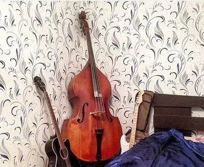 Лот: 9687456. Фото: 1. Upright Bass Контрабас московской... Гитары