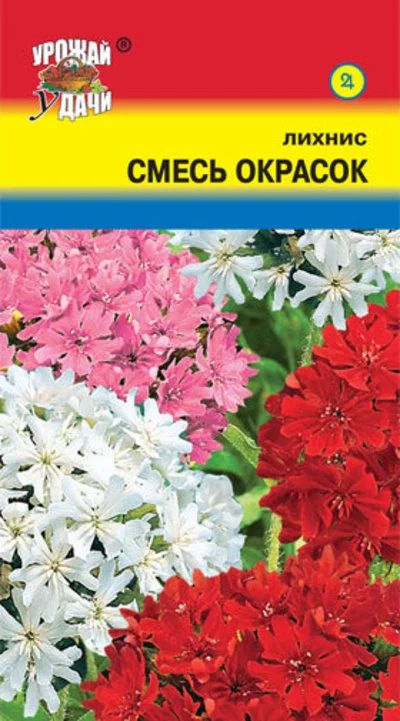 Лот: 12883752. Фото: 1. Семена лихниса ("китайское мыло... Садовые цветы