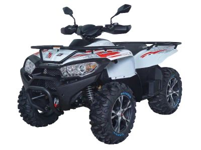 Лот: 20626367. Фото: 1. Квадроцикл ACCESS AMX800 Long... Снегоходы, квадроциклы