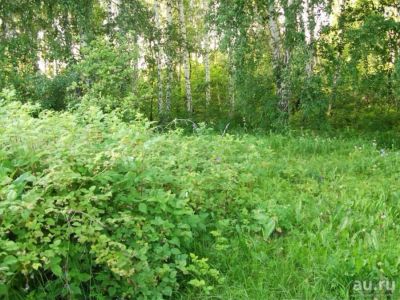 Лот: 8163067. Фото: 1. Участок 10 соток. Красивый, с... Дачи
