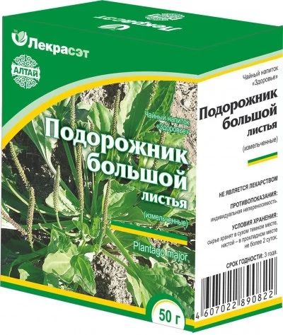Лот: 7009202. Фото: 1. Подорожника листья, 50г. Антисептики, защитные средства, медицинские маски