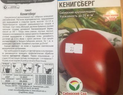 Лот: 17597084. Фото: 1. Рассада помидоров "Кенигсберг". Ягоды