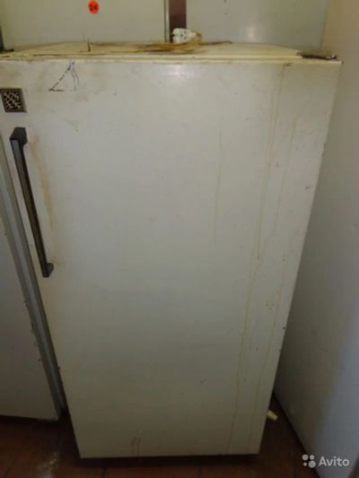 Лот: 9720838. Фото: 1. Холодильник Памир. Холодильники, морозильные камеры