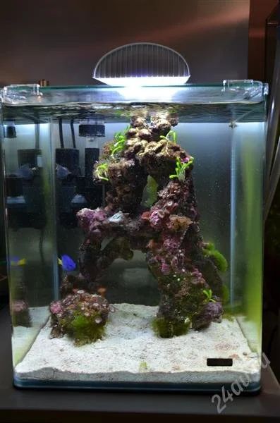 Лот: 2328625. Фото: 1. Аквариум морской Dennerle Nano... Аквариумы, террариумы