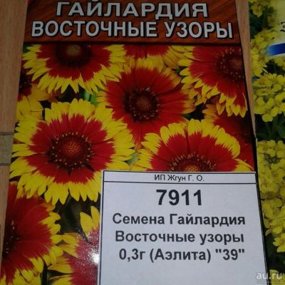 Лот: 9118551. Фото: 1. Семена / цветы / Гайлардия / Восточные... Садовые цветы