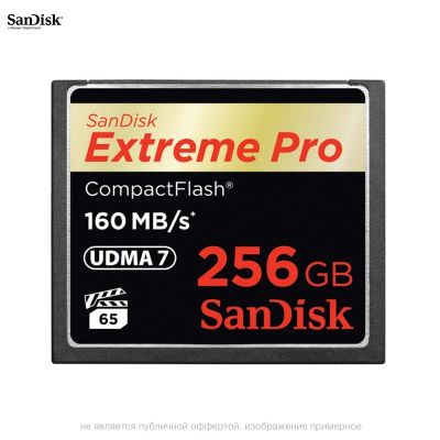 Лот: 21439247. Фото: 1. Карта памяти SanDisk 256GB CF... Карты памяти