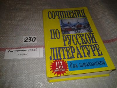 Лот: 7187882. Фото: 1. Сочинения по русской литературе... Для школы