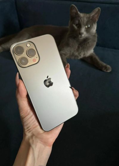 Лот: 22713905. Фото: 1. iPhone 13 Pro Max 256Gb Graphite. Смартфоны