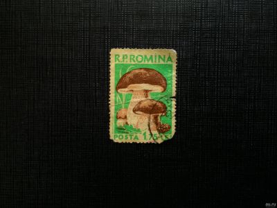 Лот: 14533880. Фото: 1. марка бк 54. Марки