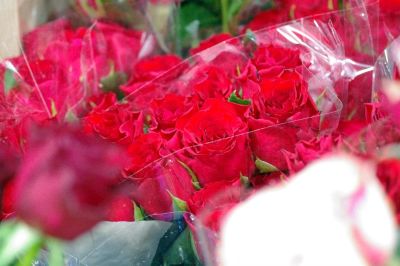 Лот: 6356735. Фото: 1. 101 роза в букете по низкой цене... Свежие цветы