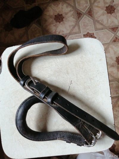 Лот: 16531243. Фото: 1. Подхвостник. Остальные животные