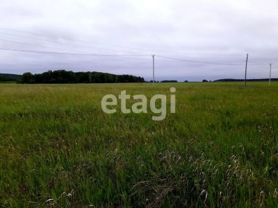 Лот: 25297402. Фото: 1. участок , деревня Борлок деревня... Земельные участки