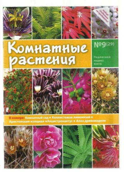 Лот: 9531733. Фото: 1. №6 Журнал Комнатные растения. Быт и семья