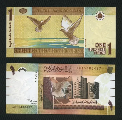 Лот: 21541321. Фото: 1. Судан 1 фунт 2006г.(люкс). Африка