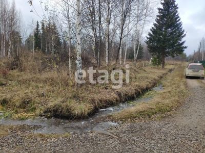 Лот: 25286449. Фото: 1. участок , садоводческое товарищество... Земельные участки