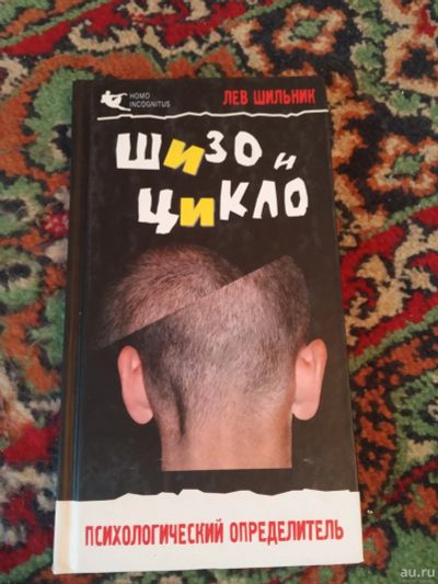 Лот: 17880941. Фото: 1. Лев Шильник Шизо и Цикло. Психология