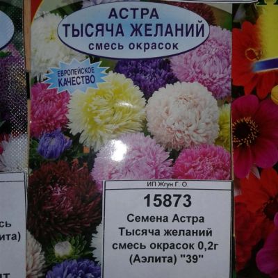 Лот: 9113370. Фото: 1. Семена / цветы / Астра / Тысяча... Садовые цветы