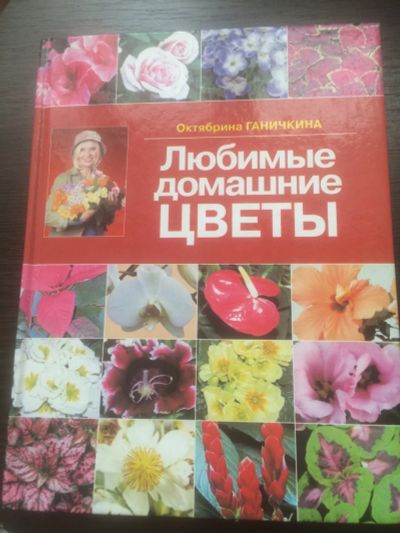 Лот: 17134821. Фото: 1. Книга любимые домашние цветы. Горшечные растения и комнатные цветы