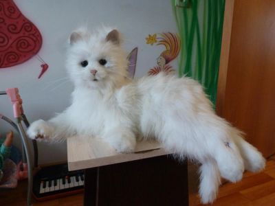 Лот: 4181646. Фото: 1. Интерактивная кошка Лулу, Lulu... Электронные