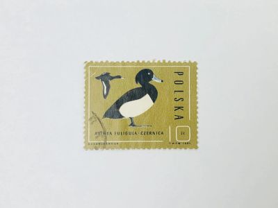 Лот: 23314491. Фото: 1. Дикие утки. Хохлатая чернеть... Марки
