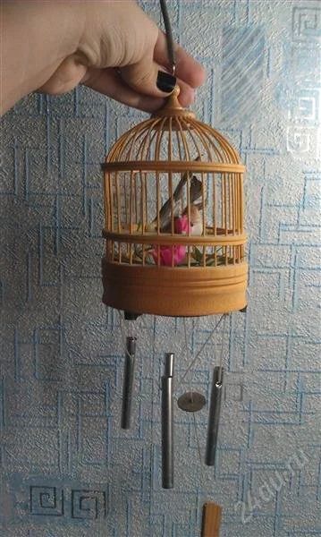 Лот: 2072539. Фото: 1. Птички поющие. Аксессуары