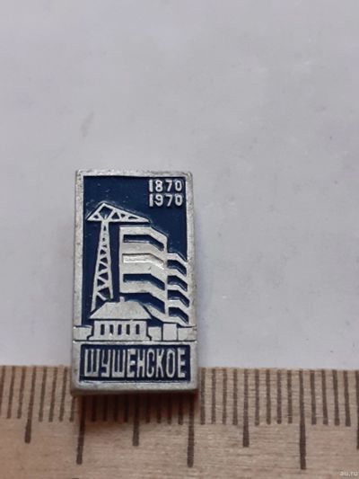 Лот: 18277072. Фото: 1. (№11579) значки Шушенское 100... Юбилейные