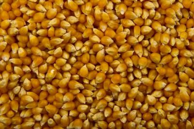 Лот: 11829192. Фото: 1. Зерна кукурузы для приготовления... Крупы, сыпучие продукты