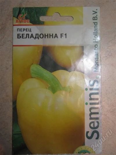Лот: 2722409. Фото: 1. Перец сладкий Беладонна (рассада... Другое (семена, рассада, садовые растения)