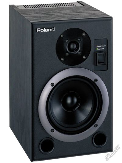 Лот: 5825735. Фото: 1. Roland DS-5 Студийный монитор... Эстрадная акустика и усилители