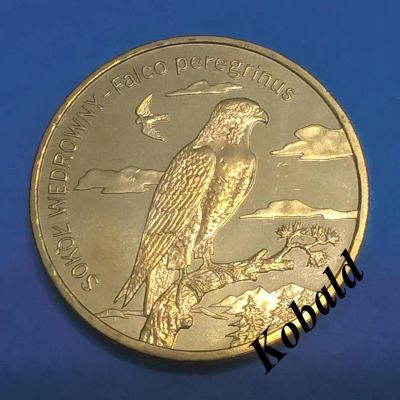 Лот: 8496947. Фото: 1. Польша 2 злотых 2008 Сапсан. Европа