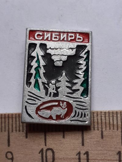 Лот: 19162193. Фото: 1. ( №14249) значки флора фауна,Красноярск... Сувенирные