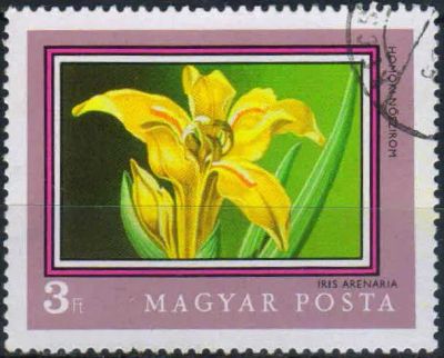 Лот: 24997653. Фото: 1. 1971. Венгрия. 200-летие Ботанического... Марки