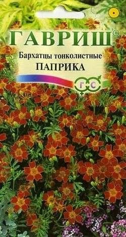 Лот: 11024196. Фото: 1. Бархатцы тонколист. Паприка 0... Садовые цветы