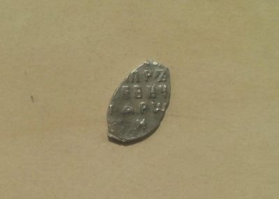 Лот: 5408858. Фото: 1. Чешуйка Петр Алексеевич серебро. Россия до 1917 года