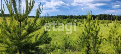 Лот: 25296271. Фото: 1. участок , деревня Сухая деревня... Земельные участки